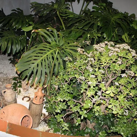El Jardin Secreto De Elviria * Μαρμπέλλα