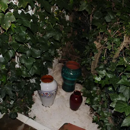 Διαμέρισμα El Jardin Secreto De Elviria