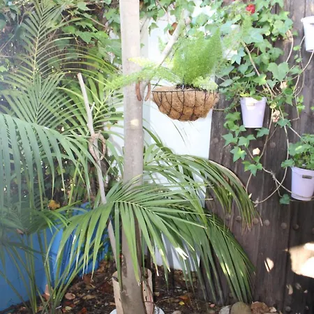 El Jardin Secreto De Elviria Μαρμπέλλα